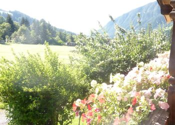 Bergchalet Tirol